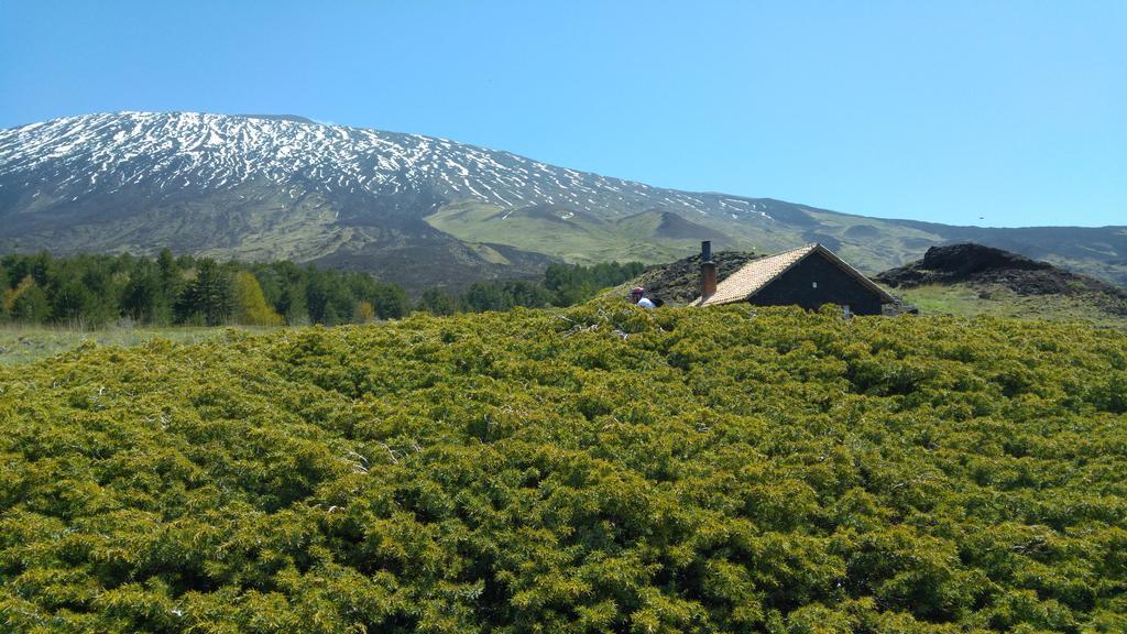 Etna Bike Holiday Zafferana Etnea Exterior foto